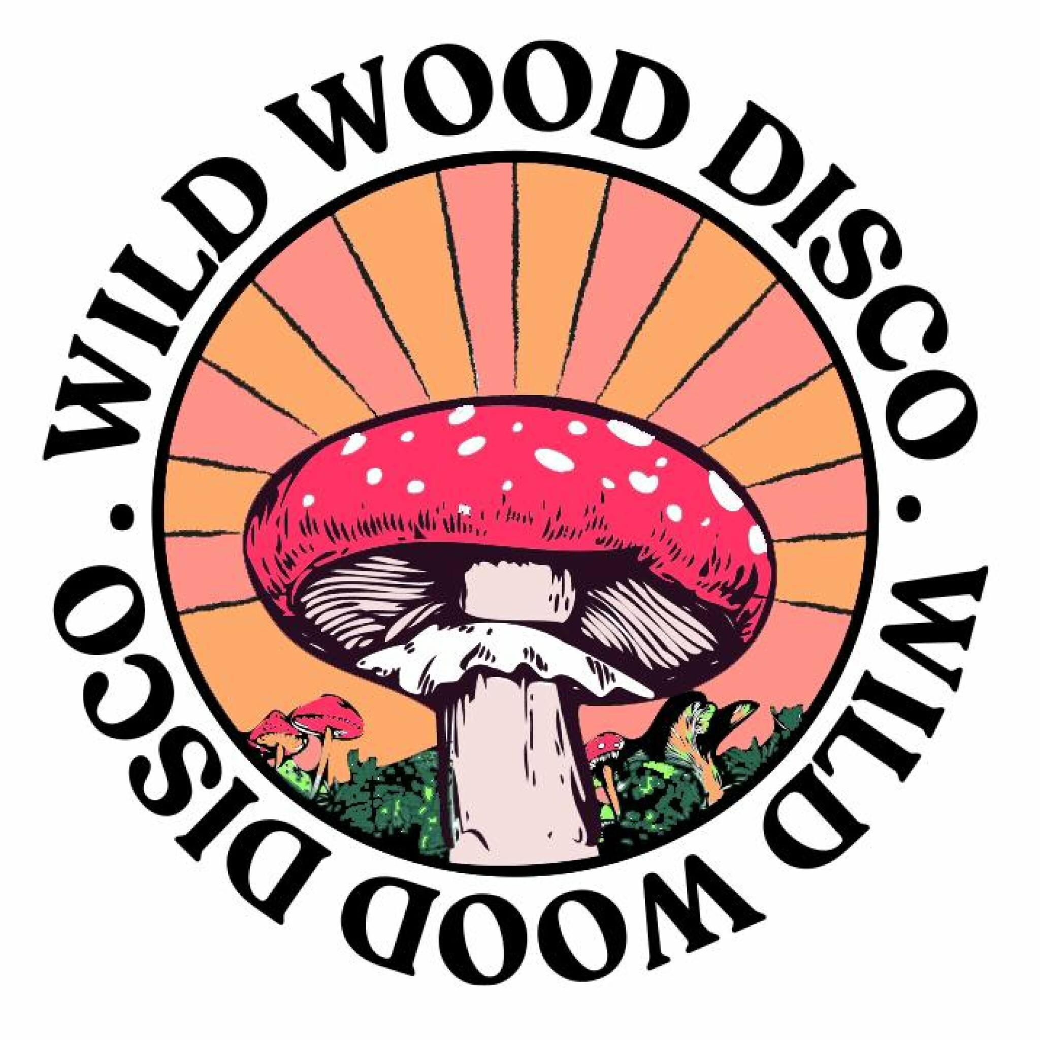 Wildwood Disco.jpg